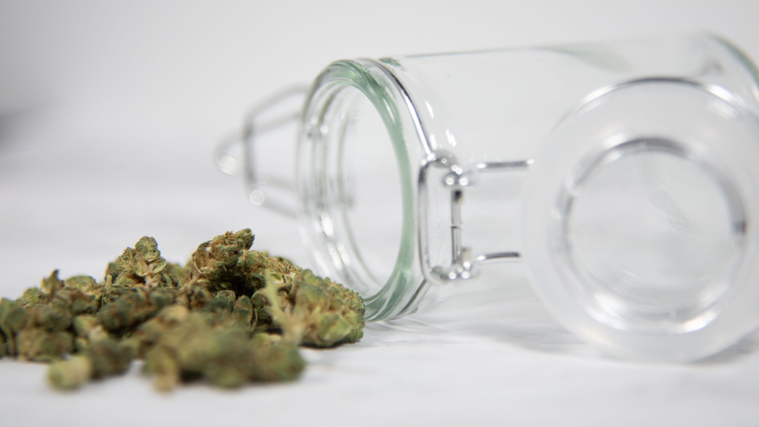 The Benefits of Cannabis for Senior Citizens: A Comprehensive Overview